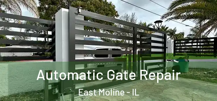 Automatic Gate Repair East Moline - IL