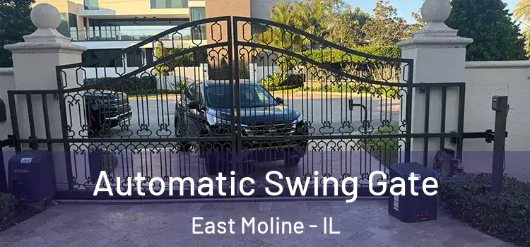 Automatic Swing Gate East Moline - IL