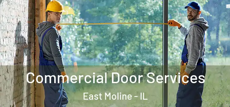Commercial Door Services East Moline - IL