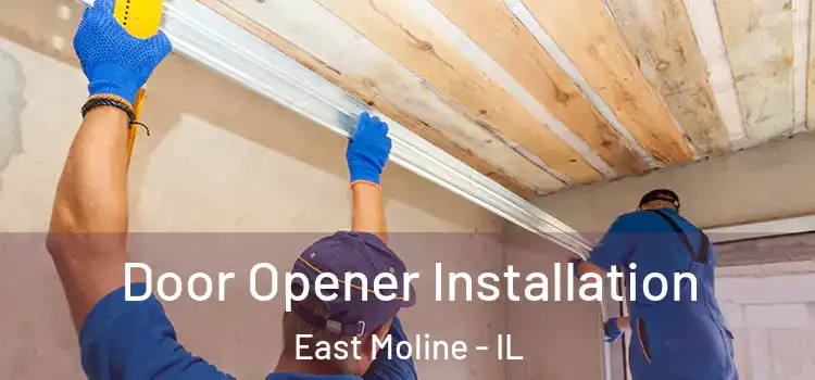 Door Opener Installation East Moline - IL
