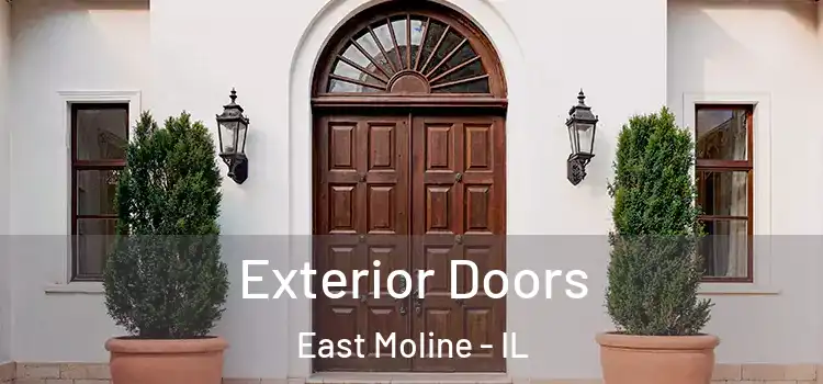 Exterior Doors East Moline - IL