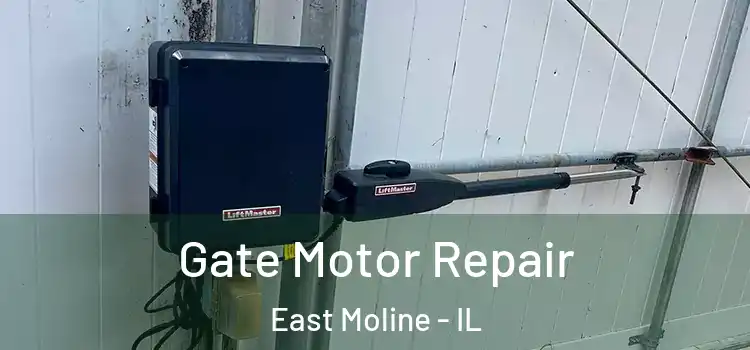 Gate Motor Repair East Moline - IL