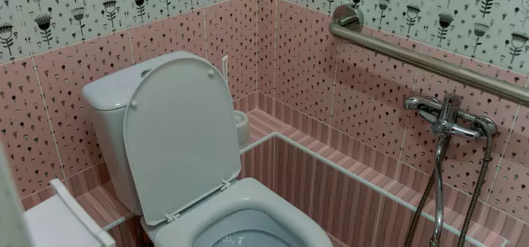 Meeting Diverse Needs With Accessible Restroom Solutions in East Moline, IL
