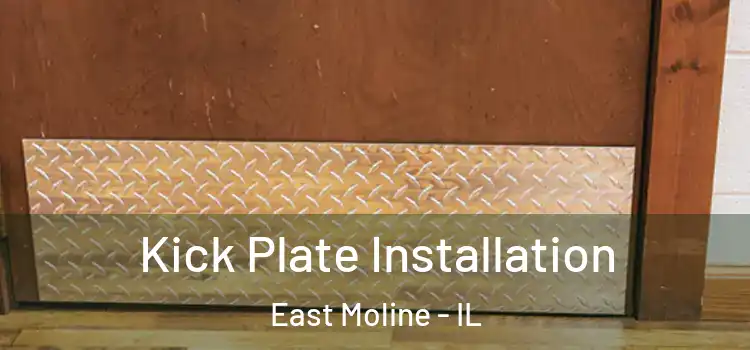 Kick Plate Installation East Moline - IL