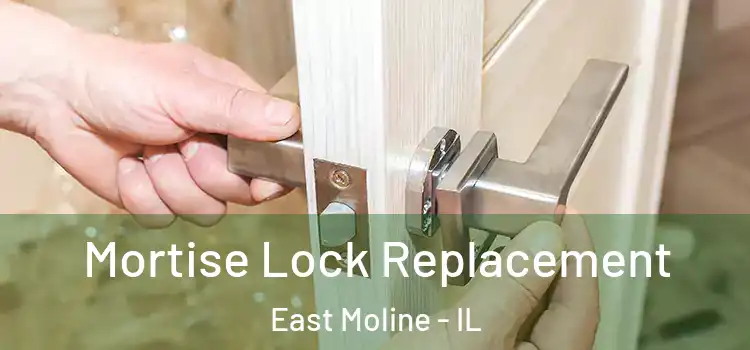 Mortise Lock Replacement East Moline - IL