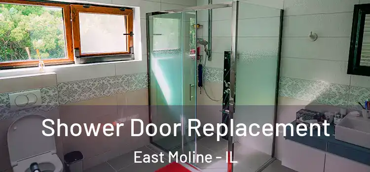 Shower Door Replacement East Moline - IL