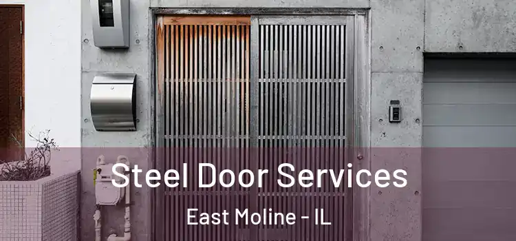 Steel Door Services East Moline - IL